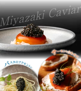 y{茧sz{LrA1983(300g) N027-YK007