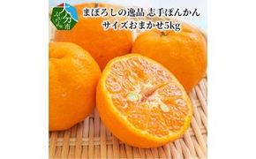【C09020】【2027年1月下旬より発送】【大分市名産】まぼろしの逸品 志手ぽんかん サイズおまかせ5kg