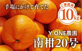 【先行受付】【数量限定】【家庭用】南柑20号（生果）10kg｜柑橘 みかん 温州みかん ミカン 蜜柑 果物 フルーツ 愛媛県産 ※2024年12月上旬頃より順次発送予定