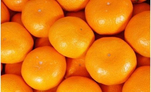  [秀品]有田のブランド「賢みかん」5kg(Mサイズ) 【2025年11月中旬頃より順次発送】BZ008 