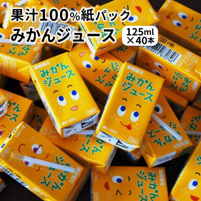 果汁100％紙パックみかんジュース125ml×40本_1521R