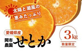 【先行予約】【数量限定】＼農園直送／愛媛県産せとか3kg×1箱◆｜柑橘 みかん ミカン 蜜柑 果物 フルーツ 柑橘の大トロ 愛媛県産 ※2025年2月下旬頃～3月中旬頃に順次発送予定