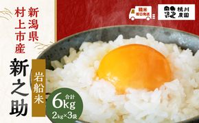 A4100 【精米即日発送・令和7年産米】新潟県村上市産  新之助 6kg