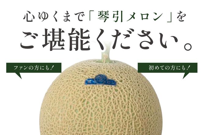 【先行予約／数量限定500】京のブランド産品 京たんごメロン 琴引メロン 1玉（2024年6月下旬～発送）　国産 メロン めろん 2024フルーツ ふるーつ 果物 くだもの 農家応援 生産者応援 JK00007