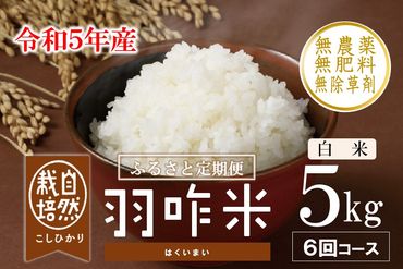 [A079] 【定期便】【新米予約（11月発送開始）】【無農薬】【白米】能登のこだわり自然栽培こしひかり『羽咋米』 ５kg×６回コース