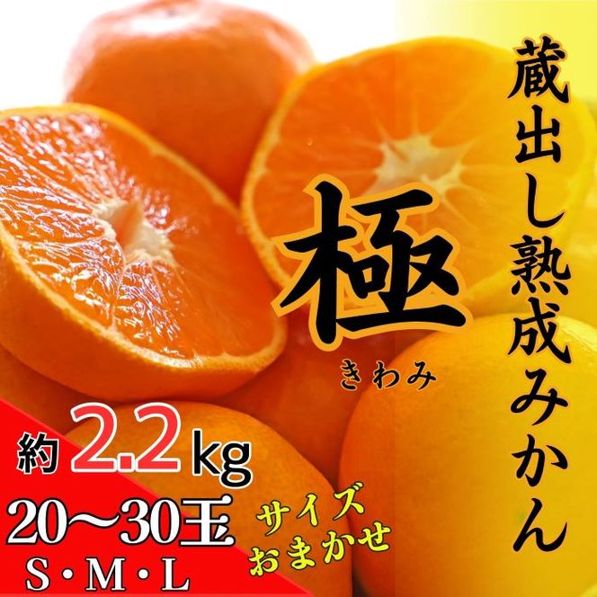 蔵出し熟成みかん『極』 ※2025年2月中旬頃から発送　※離島不可