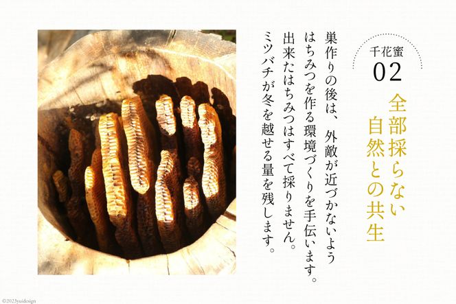 【保存料不使用】 天然！ 千花蜜（はちみつ） 100g [日添 熊本県 五木村 51120285] はちみつ 蜂蜜 ハチミツ 保存料不使用 天然 天然蜂蜜 熊本県 五木村 特産