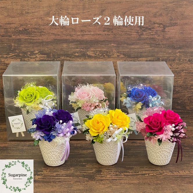 yʌtszAJ178-2 vU[uht[yt[/~UCG[zts VK[pC