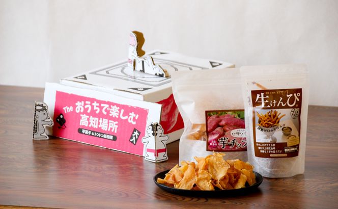 利休　とんとん紙相撲と生けんぴのセット