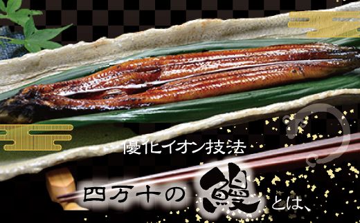 R5-301．四万十川優化イオンうなぎ　蒲焼1尾・白焼1尾（ボイル肝、たれ付き）