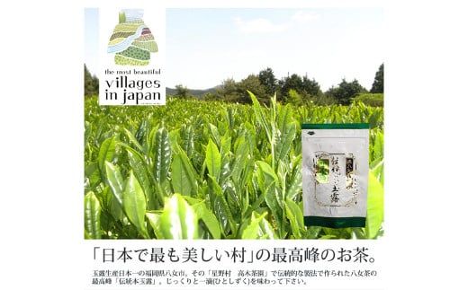 奥八女星野村 伝統本玉露 約50g×1袋 お茶 緑茶 茶葉 玉露 八女茶 飲料