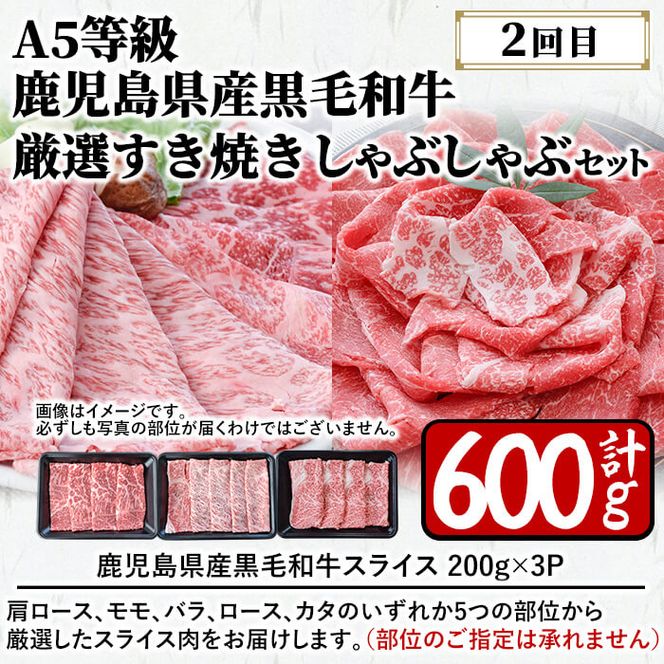 【定期便・全2回】A5等級の鹿児島県産黒毛和牛と黒豚のしゃぶしゃぶ定期便 t0033-003