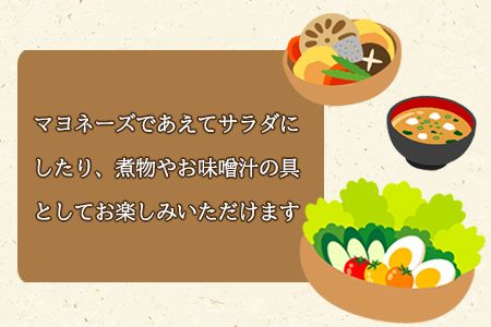 ＜切干大根　6袋セット(30g×6袋)＞翌月末迄に順次出荷【料理 アレンジ 炒め物 炒めもの 酢の物 すのもの 味噌汁 みそ汁 煮物 煮つけ 和食 ご飯 ごはん お弁当 おかず 夕飯 夕食 簡単 調理 一品 美味しい おいしい】【b0045_ko】