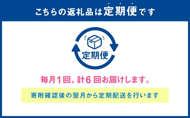 【6ヶ月定期便】熊本県産赤牛ハンバーグ 1.5kg（150g×10個）