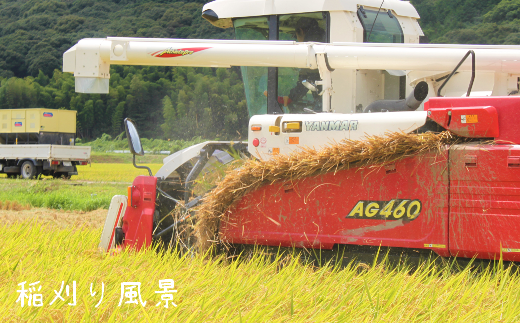 【令和7年産新米】【先行予約】ひかりファーム の ミルキークイーン - 玄米 - 20kg【2025年10月以降順次発送】《築上町》【ひかりファーム】 [ABAV014]