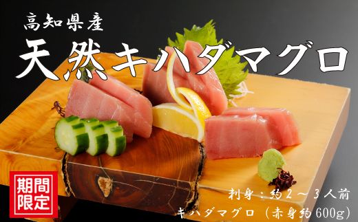 R5-999．お刺身や漬け丼に！　天然まぐろ　キハダマグロ（赤身）約600g　刺身：2～3人前