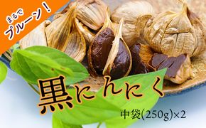  黒にんにく「土佐の隠し玉」　2袋×250g