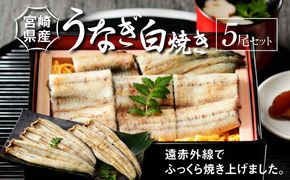 宮崎県産 うなぎ 白焼き 5尾セット K10_0012_2