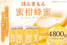 ほんまもん蜜柑（みかん）蜂蜜 1200g×4本 計4800g 村上養蜂《30日以内に出荷予定(土日祝除く)》和歌山県 紀の川市---wsk_muraymh4_30d_23_74000_4800g---