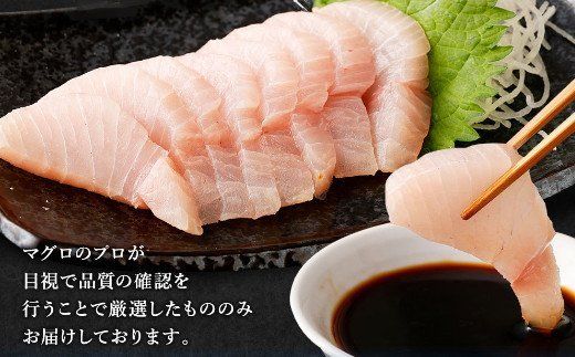 【訳あり】 厳選 トロびんちょうマグロ 約500g ふるさと納税限定 とろびんちょう びんながまぐろ びんとろビントロ ビンチョウマグロ 魚 惣菜 刺し身 冷凍 故郷納税 送料無料　ge014!