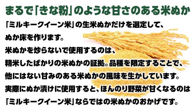 ミルキークィーン米 ぬか床 1.7kg ＆ ぬか漬け5種 セット ( SUGIDOCO 容器付き ) 米 お米 コメ こめ ミルキークイーン ぬか漬け ぬか ぬかどこ [BJ007ci]