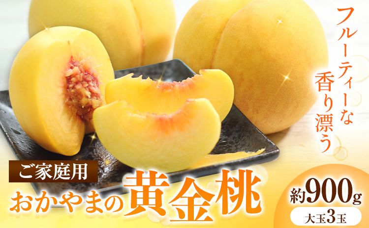 ご家庭用 おかやまの黄金桃 約900g 令和6年産 先行予約 [8月下旬-9月中旬頃出荷(土日祝除く)] 桃 黄桃 黄金桃 晴れの国おかやま館 フルーツ 果物 果実 岡山県 笠岡市---A-178b---