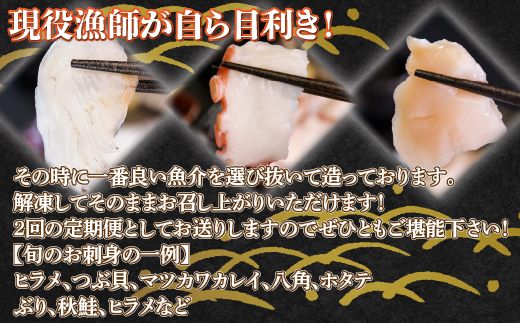 【定期便2回】 地元漁師 厳選 噴火湾産 旬のお刺身セット北海道 豊浦 TYUR012