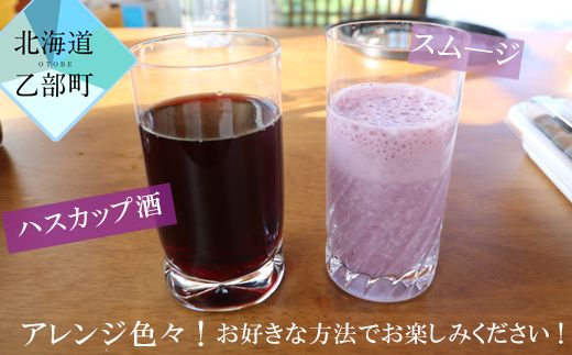 ＜山科農園　冷凍ハスカップ（400ｇ×2）＞手作業で収穫　摘み立てハスカップ