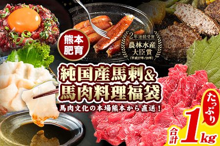 純国産馬刺し&馬肉料理福袋 計1kg 熊本肥育 2年連続農林水産大臣賞受賞 送料無料 上赤身馬刺し100g たてがみ50g 馬とろ150g 馬ソーセージ500g 燻製 霜降り ハン馬ーグ200g(2個入り) タレ付き 南阿蘇村[90日以内に順次出荷(土日祝除く)]---mna_fba5syu_90d_22_13000_1kg---