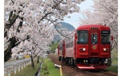  観光列車「ながら」ランチプラン乗車券(おひとり様)