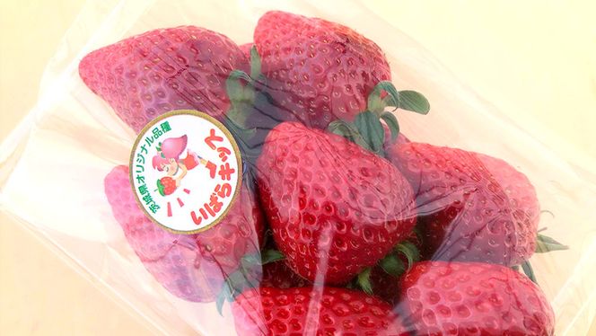 茨城県産 いちご 「 いばらキッス 」 2パック イチゴ 果物 フルーツ 新鮮 旬 果実 [AM123us]