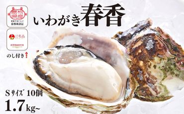 【のし付き】ブランドいわがき春香 新鮮クリーミーな高級岩牡蠣 殻付きSサイズ×１０個