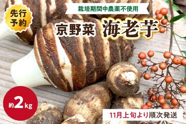 【先行予約】京都伝統野菜　海老芋 2K　栽培期間中農薬・化学肥料不使用　KU00039