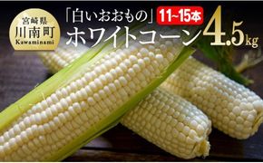 【令和7年発送】政岡さんちのスイートコーン「白いおおもの（ホワイトコーン）」4.5kg 【 先行予約 数量限定 期間限定 とうもろこし スイートコーン 2025年発送 先行受付 宮崎県産 九州産 】 [D06505]