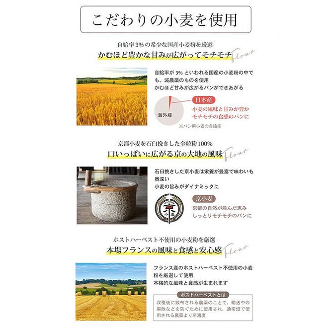 6回定期便 天然酵母 パン セット(食パン×2種・バケット×1種・カンパーニュ×4種 計7種) 《国産小麦 フランス産小麦 有機 無添加 詰め合わせ セット 朝食 京都》※北海道・沖縄・離島への配送不可