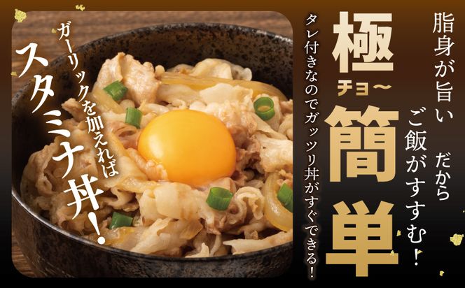 099H2817 【泉佐野ブランド豚】犬鳴豚 豚丼セット 8人前 小分け 4P 切り落とし 簡単調理