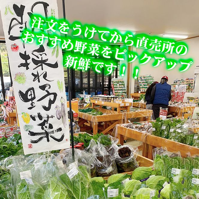 季節の新鮮野菜詰め合わせ　＜野菜 やさい 詰め合わせ 新鮮 旬 季節  愛媛県 鬼北町＞