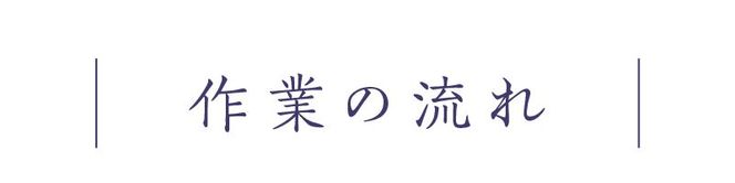 お墓参り代行D（墓石掃除を含む2.0時間程度×2回）[067S04]