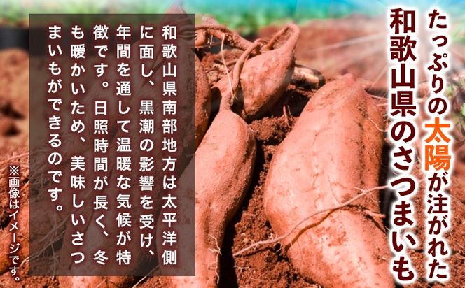 和歌山県のサツマイモ 在来種 小さめサイズ 5kg《12月中旬‐5月上旬頃出荷》和歌山県 日高川町 みはらファーム さつま芋 薩摩芋---wshg_mhr12_12c5j_26_12000_5kg---