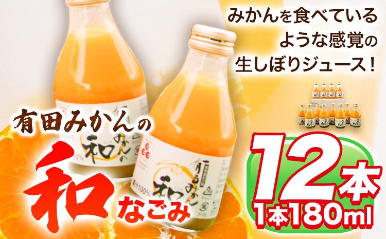 有田みかんの和 なごみ 180ml×12本入 果樹園紀の国株式会社[90日以内に出荷予定(土日祝除く)] 和歌山県 日高町 オレンジジュース みかんジュース 有田みかん100%使用 柑橘[配送不可地域あり]---wsh_kjumjwa_90d_22_13000_12p---