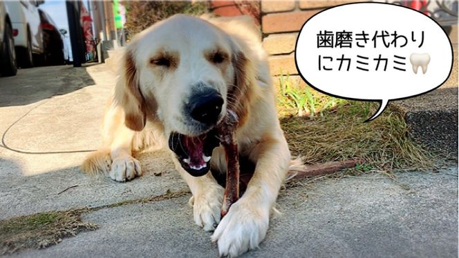 FB142_大型犬向け☆天然いのししのスモーク骨ガム3本／みやき町