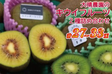 BY003-1「緑と味覚の里 内牧」大晴農園のキウイフルーツ２種詰め合わせ　２７～33玉入り