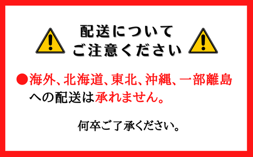 洋風おせち（2人前）〔三段重・冷蔵〕【12/31到着】24-050-006