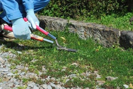 ユニークな道具３点セット