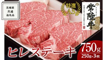 [常陸牛特選A5]ヒレステーキ 250g×3枚 (750g) ( 茨城県共通返礼品 ) 国産 お肉 肉 焼肉 焼き肉 バーベキュー BBQ ヒレ肉 ヘレ ヘレステーキ テンダーロイン A5ランク ブランド牛[BM019us]