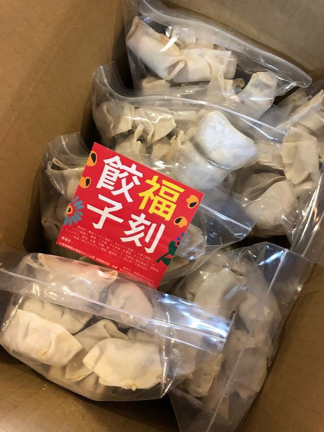 居酒屋のおかあちゃん手作り もちもち福刻餃子 180個(30個×6袋) 碧南産にんじん入り H136-031
