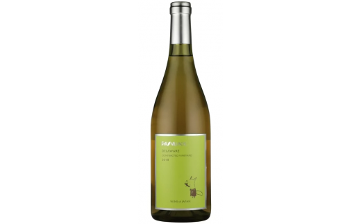 yRJsztHbNXBbW@fEGA 750ml@165-002