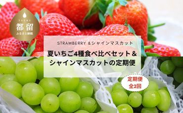 BB023　＜定期便＞ 夏いちご4種食べ比べセット＆ シャインマスカット