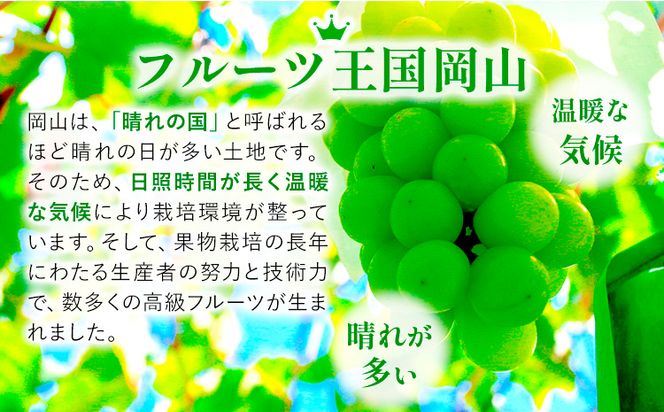 【先行予約】 岡山県産 無加温栽培 つる付き シャインマスカット 2房 (580g以上) 【配送不可地域あり】 《9月上旬-11月上旬頃に出荷予定》 岡山県 矢掛町 マスカット ぶどう 葡萄 果物---osy_chbf12_ad911_25_23000_2---