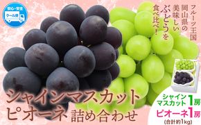 【2026年先行予約】シャインマスカット・ピオーネ詰め合わせ 約1.0kg マスカット 葡萄 ブドウ ぶどう ピオーネ フルーツ セット  晴れの国おかやま館 《2026年8月下旬-10月下旬頃出荷》 フルーツ 果物 果実 岡山県 笠岡市---H-21a---